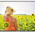 HARPER 40F660TS Smart TV